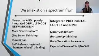 Aware Brain vs Default Mode Network Mind Wandering Negativity Bias and How to Integrate