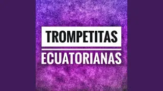Trompetitas Ecuatorianas
