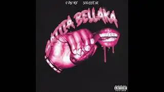 Gatita bellaka (ft sebasStar) 