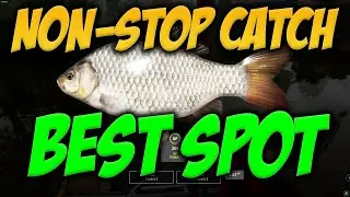 Russian Fishing 4 - BEST SPOT for Crucial Carp & Gibel Carp on Mosquito Lake (NON-STOP CATCH)