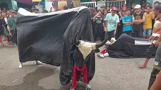 Bantengan Putro Sendang Langit