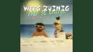 Wees Zuinig Op Je Energie (Kraak Mix)
