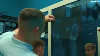 Тестирование