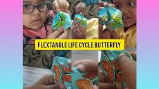 Butterfly Life Cycle Paper Toy Template  Flextangle Printable #funandlearning #educational#craft