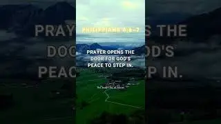 Peace Through Prayer | Philippians 4:6&ndash;7 #shorts #bibleverse