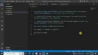 UNMET PEER DEPENDENCY error in node js npm install