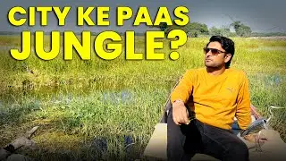 Thol Bird Sanctuary Ahmedabad | Peaceful Nature Vlog Near City (Honest Experience)