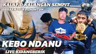 KALAP D KALANGAN SEMPIT KEBO NDANU ADIPATI SRUDUK LIVE KIDANG BERIK WAJAK 
