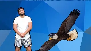Спортзалы должны обновить свои правила