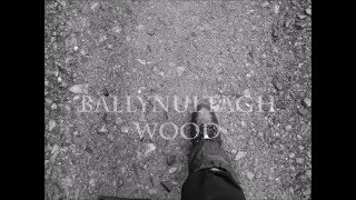 Ballynultagh Wood