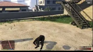 How to solo Pac Standard