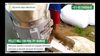 Best Pellet Mill For Poultry Manure  - Turn Waste Into Organic Fertilizer | Keyul Enterprise