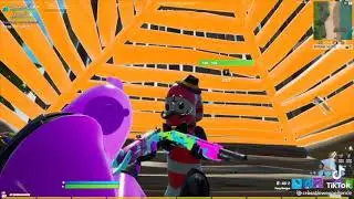 Literally Free - Dog Water / Piece Control Kyle Funny Fortnite TikTok Compilation