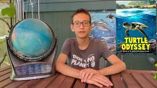 Turtle Odyssey 🐢 IMAX Film📽️ Turtle Conservation Centre🏥 |  Summer 2023 at Ontario Science Centre 🌊
