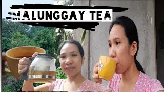 Paano gumawa ng Malunggay Tea, home made malunggay tea
