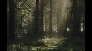 not ready to say goodbye. (slowed)