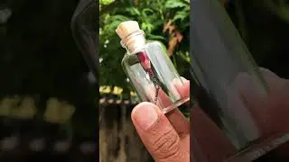 Bottled art #love #tamil #tamilsong #pencil #carving #graphitepencil #pencilcarving #love