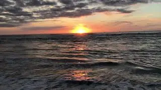 Evening walk at the beach | Texel, Netherlands | 4K Ultra HD