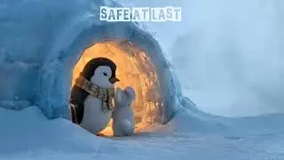 The Most Adorable Penguin Story Ever 🐧💙 | Cinematic 3D Animation @PenguinPals-e3r
