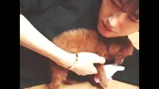 140722 Hwang Kwang Hee Instagram Video