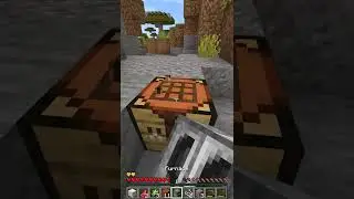 Minecraft, But Damage Gives Random Effects...