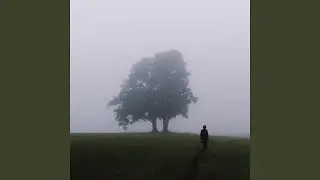 Если ты слышишь
