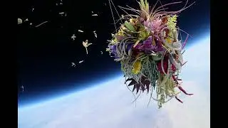 Tako - Float In Space Out Disco Mix