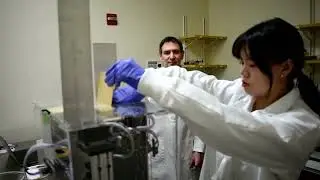 Could these jumping mice change how astronauts exercise | REUTERS