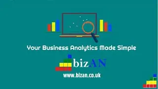 Introduction to Bizan