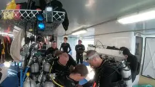 Cod Hole, Ribbon Reefs & Minke Whales on Spirit of Freedom