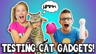 TESTING CAT GADGETS ON OUR CAT!!!