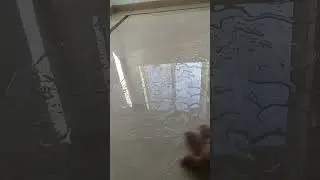 Marble Floor Sealed With Hyper Grinder Stone Soap Sealer