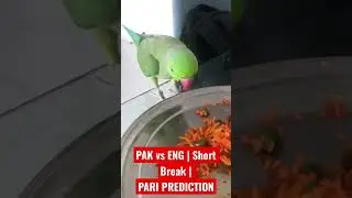 PAKISTAN vs ENGLAND FINAL Match | PARI PREDICTION