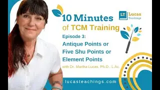 Antique Points, Five Shu Points, or Element Points | 10 Minutes of TCM Training PODCAST E3