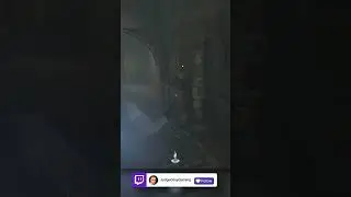 Restricted Section Demiguise - Hogwarts Legacy