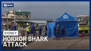 12-Year-Old Boy Fighting For Life After Shark Attack In Sydney Harbour | 10 News