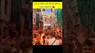 La tomatina festival #shorts #facts #youtubeshorts #ytshorts #historymystery