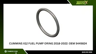 Cummins X12 Fuel Pump Oring 2018-2022: OEM 5445824