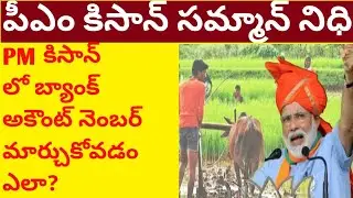 How to change bank account number in pm kisan samman || syrantv
