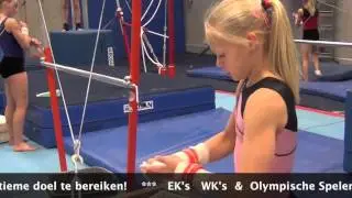 TON Almelo Topturnen Oost Nederland