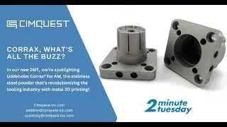 Corrax, what’s all the buzz? | 2 Minute Tuesday