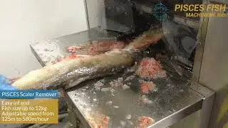 Απολεπιστική μηχανή - Pisces Water Jet De scaler