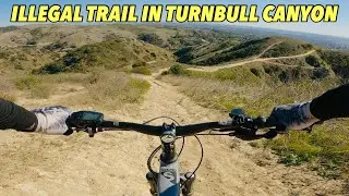 Riding illegal trail in Turnbull Canyon | Mountain Biking Southern California | 4K