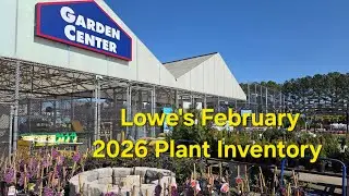 Lowe's February 2026 New Plant Inventory. Shrubs Are Rolling In! Spring Bloomers, Bulbs and more.