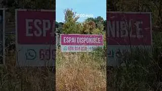 2000 euro