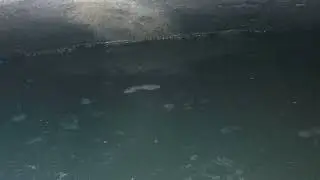 Video Ispezione al Circo Massimo