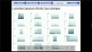 2020CrossOverD01S02L08 Sasha Dines Acoustic based monitoring of Indian Ocean humpback dolphins