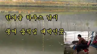 한겨울 붕어 입질이 활발한 삽교천 낚시터