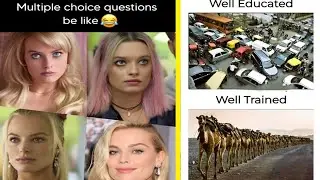 #hamukaka