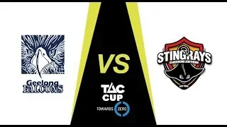 TAC Cup Prelim Final: Geelong Falcons v Dandenong Stingrays